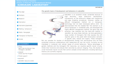 Desktop Screenshot of kawakami.lab.nig.ac.jp