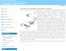 Tablet Screenshot of kawakami.lab.nig.ac.jp